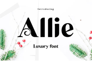 Allie Display Font for Modern Web Design