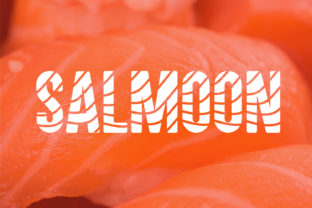 Salmoon: A Fresh Display Font for Business Branding